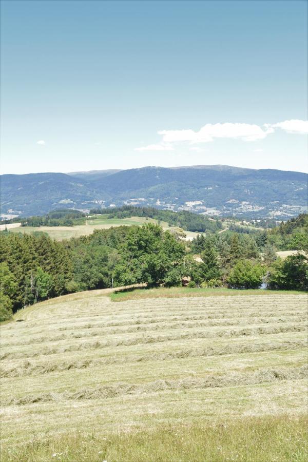 L'Embellie Bed & Breakfast Bertignat Exterior foto