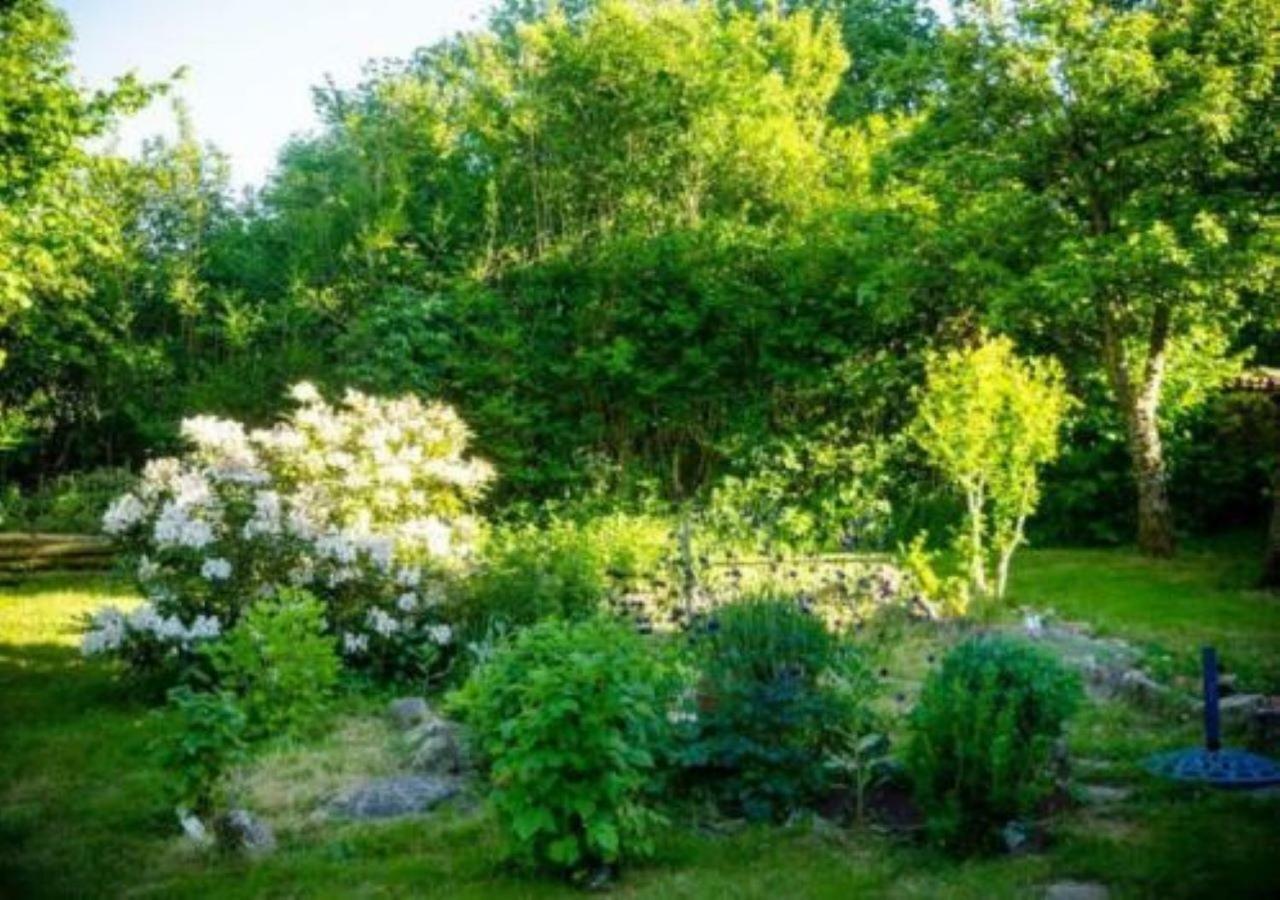 L'Embellie Bed & Breakfast Bertignat Exterior foto